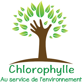 Chlorophylle - 